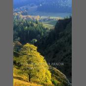 Pieniny