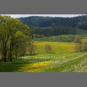 Suwalski Park Krajobrazowy