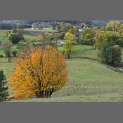 Suwalski Park Krajobrazowy