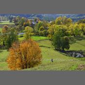 Suwalski Park Krajobrazowy