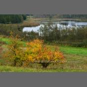 Suwalski Park Krajobrazowy