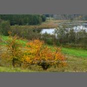 Suwalski Park Krajobrazowy