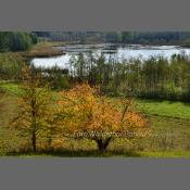 Suwalski Park Krajobrazowy