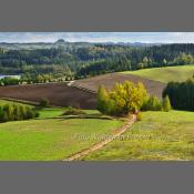 Suwalski Park Krajobrazowy