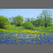 Nadbużański Park Krajobrazowy