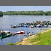 Rzeka Narew