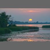 Rzeka Narew