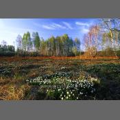 Kampinoski Park Narodowy