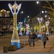 Warszawa-ulica Krakowskie Przedmieście