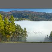 Pieniny