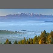 Pieniny