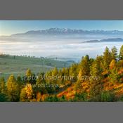 Pieniny