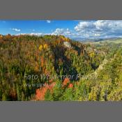 Pieniny