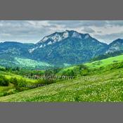 Polska - Pieniny