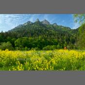 Polska - Pieniny