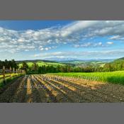 Polska - Pieniny