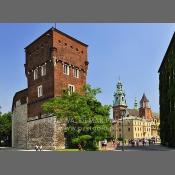 Wawel-Baszta Złodziejska